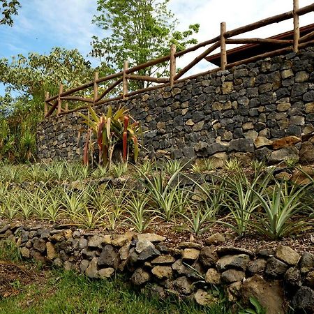 Finca Estacion Descansos Bed & Breakfast Paraíso Eksteriør bilde