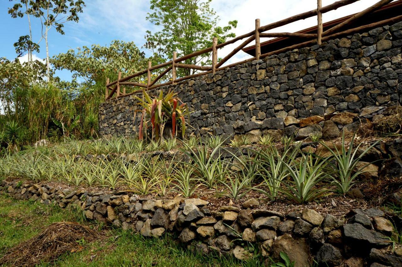 Finca Estacion Descansos Bed & Breakfast Paraíso Eksteriør bilde